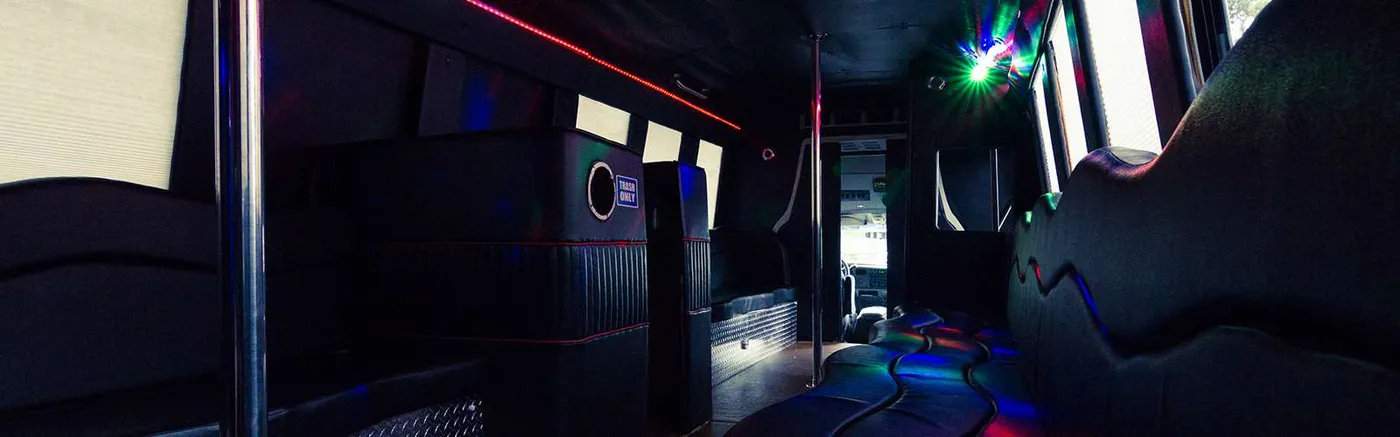 25 Passenger Party Bus party bus — photo 8