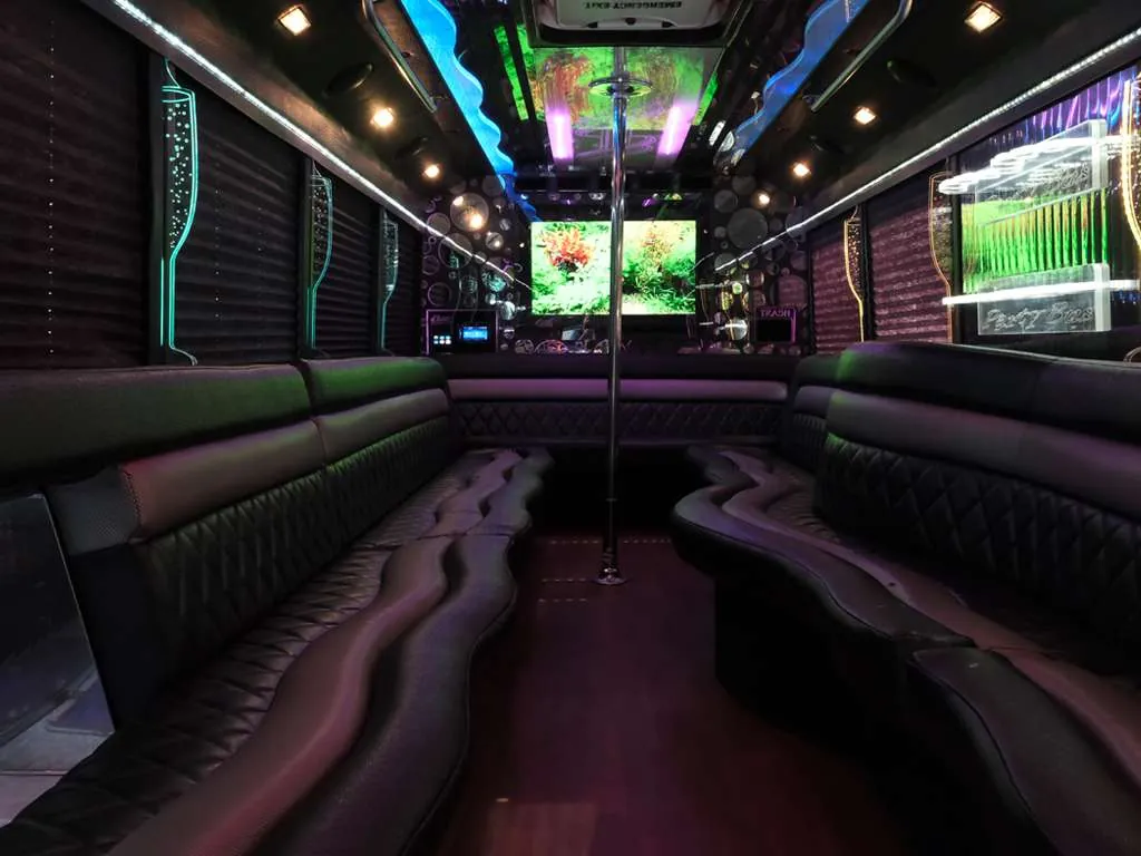 The Deluxe party bus — photo 2