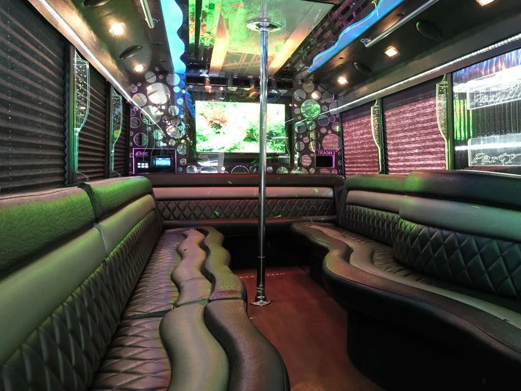 The Deluxe party bus — photo 3
