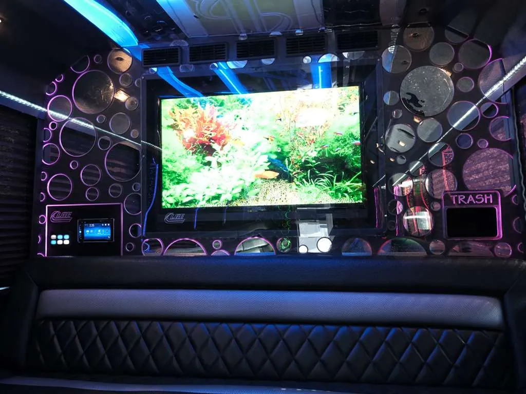 The Deluxe party bus — photo 4
