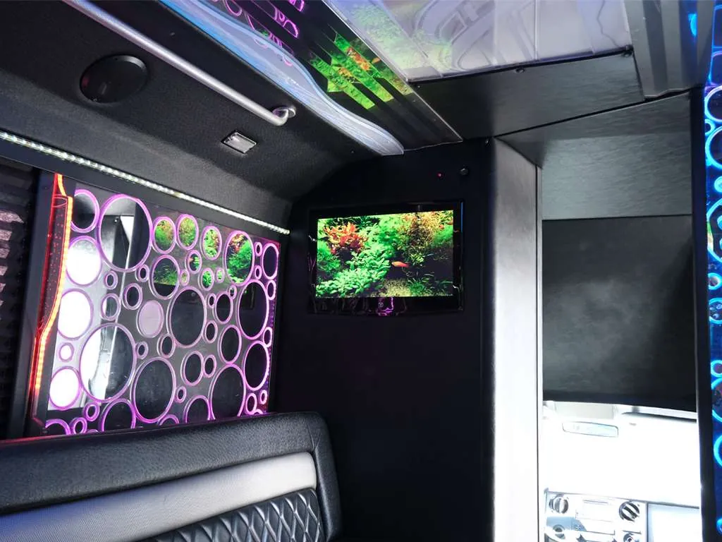 The Deluxe party bus — photo 5