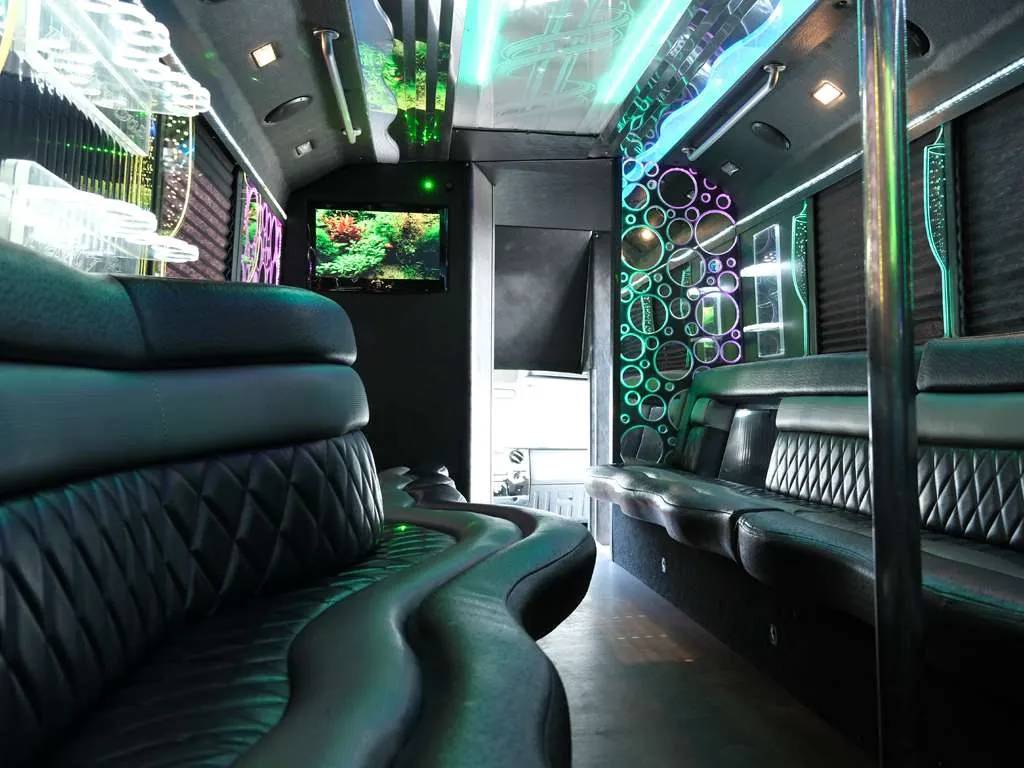 The Deluxe party bus — photo 6
