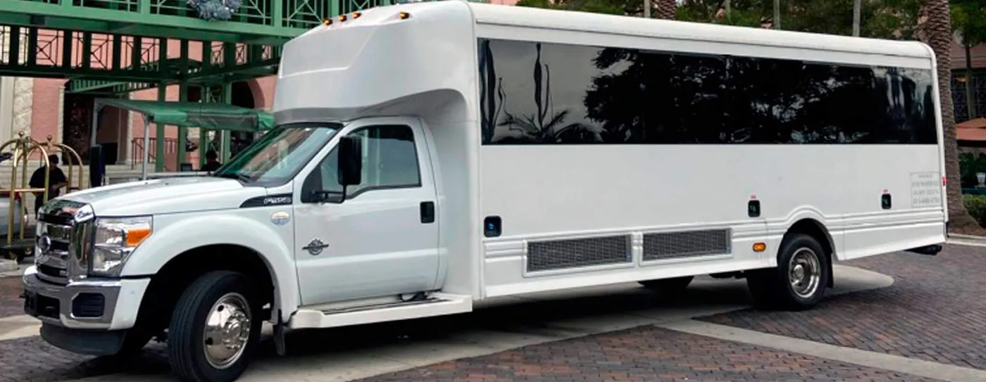 The Deluxe party bus — photo 7