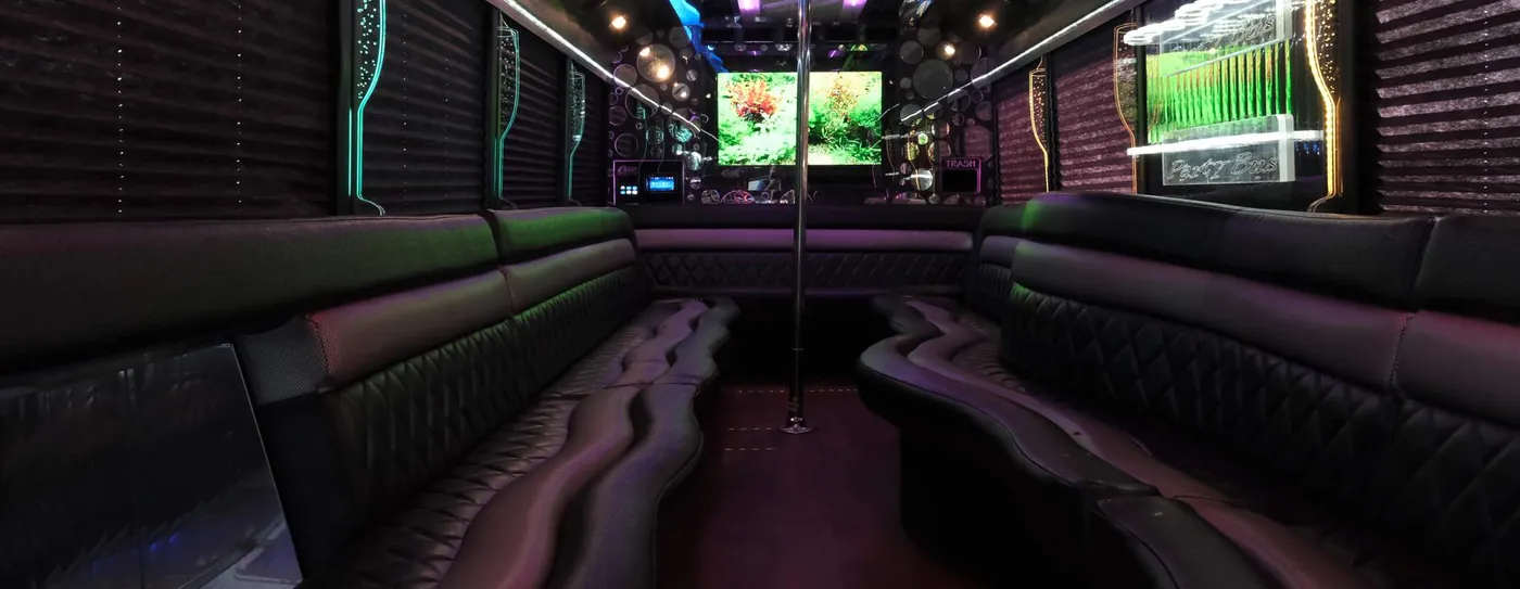 The Deluxe party bus — photo 8