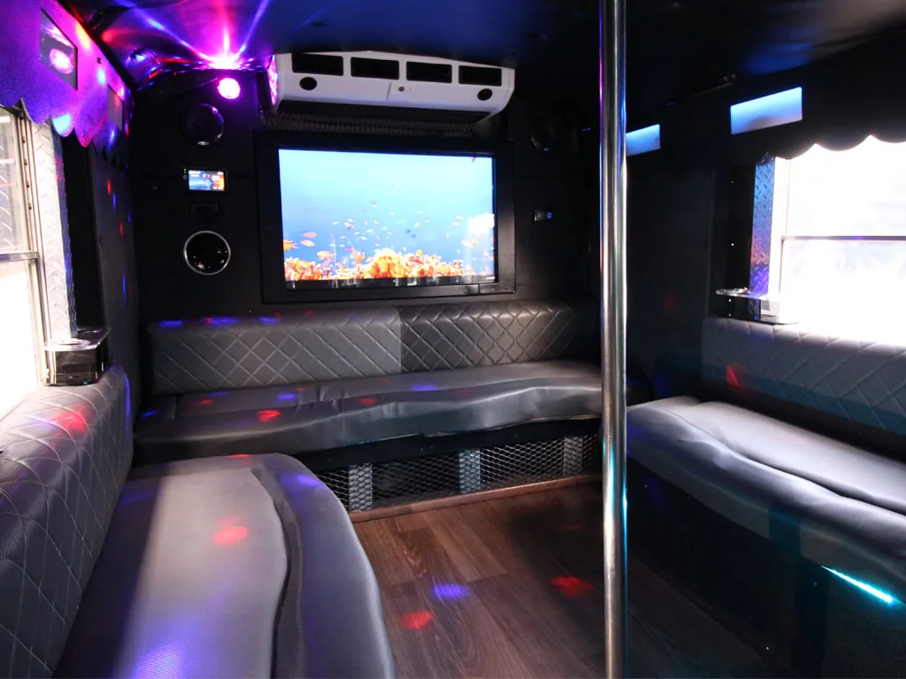 The Mirror Bus party bus — photo 4