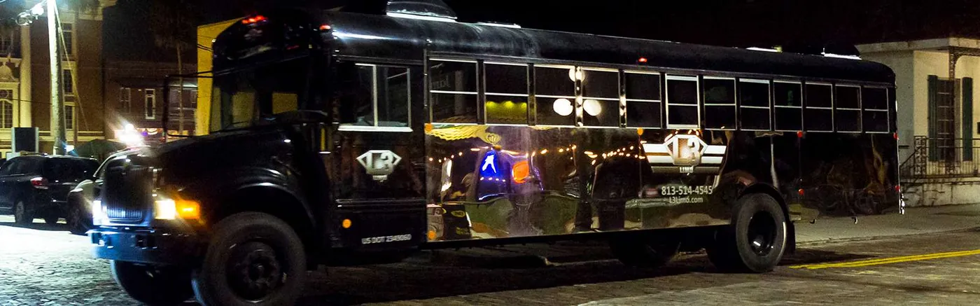 The Mirror Bus party bus — photo 6